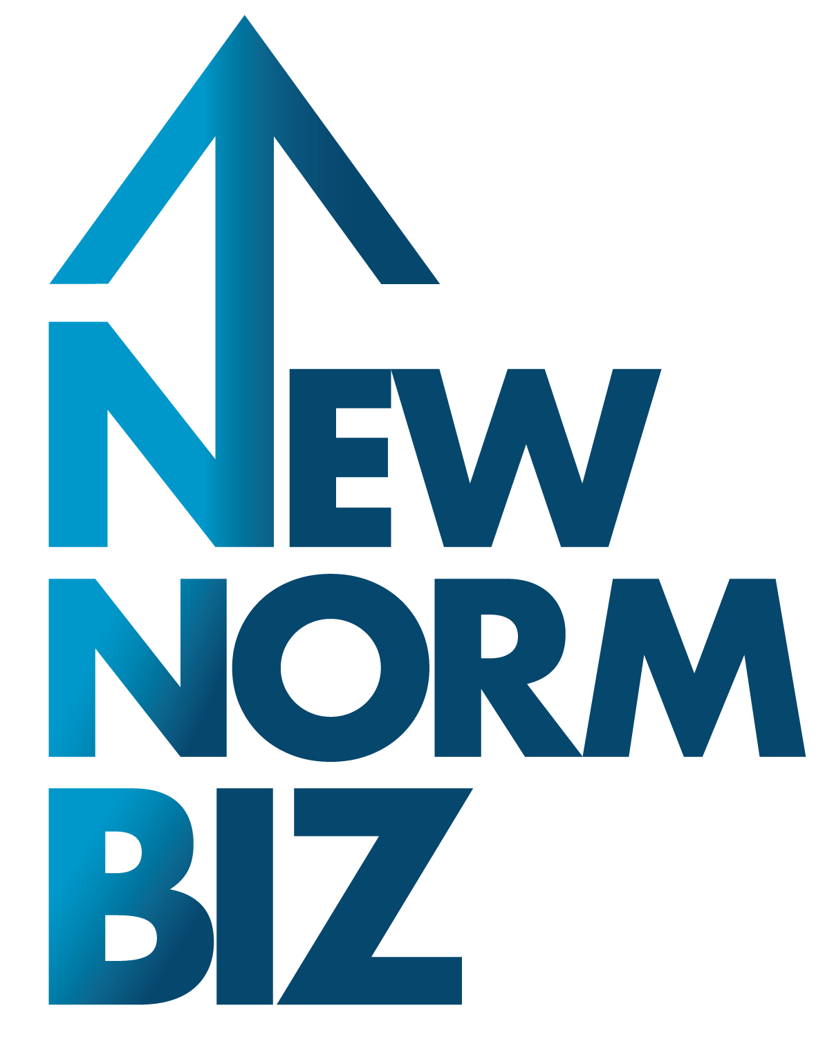 New Norm Biz